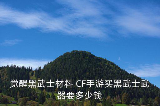 觉醒黑武士材料 CF手游买黑武士武器要多少钱