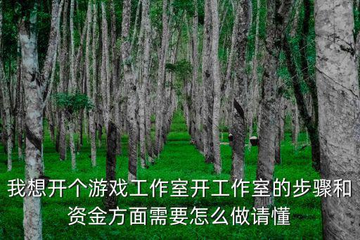 我想开个游戏工作室开工作室的步骤和资金方面需要怎么做请懂