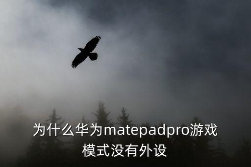 为什么华为matepadpro游戏模式没有外设