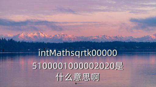 intMathsqrtk000005100001000002020是什么意思啊