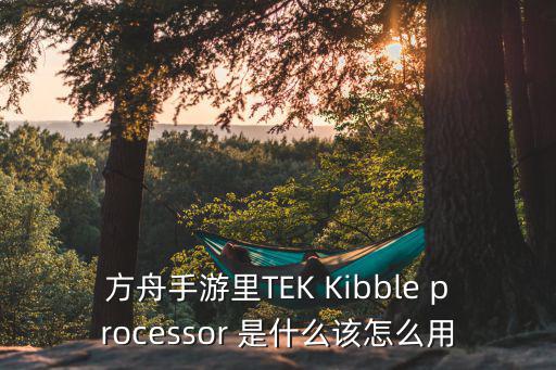 方舟手游里TEK Kibble processor 是什么该怎么用