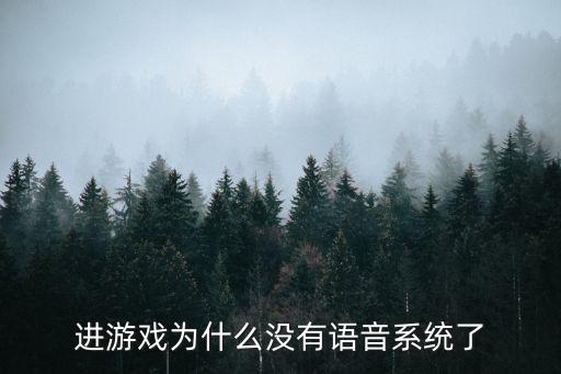 进游戏为什么没有语音系统了