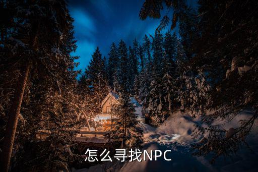 怎么寻找NPC