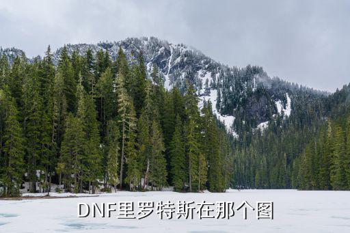 DNF里罗特斯在那个图