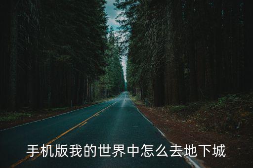 手机版我的世界中怎么去地下城