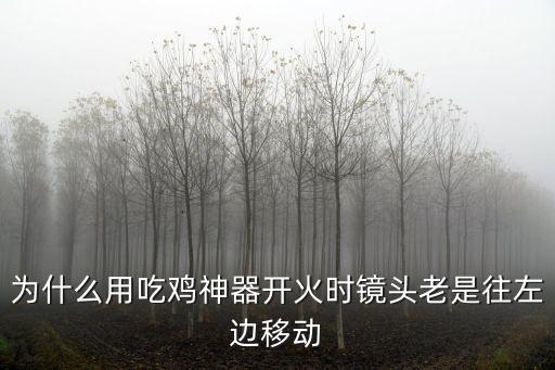 为什么用吃鸡神器开火时镜头老是往左边移动