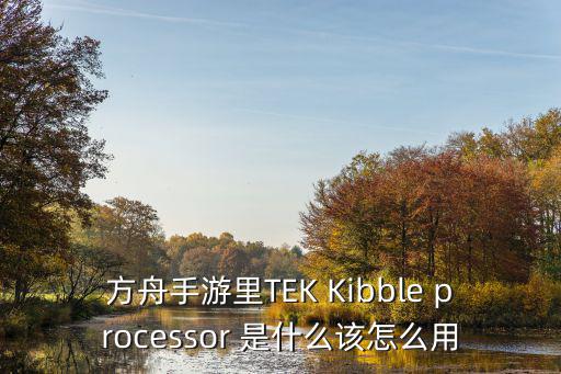 方舟手游里TEK Kibble processor 是什么该怎么用