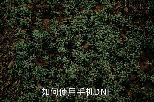 如何使用手机DNF