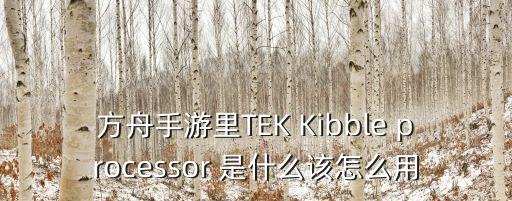 方舟手游里TEK Kibble processor 是什么该怎么用