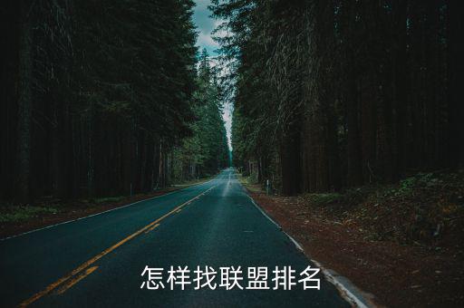 怎样找联盟排名