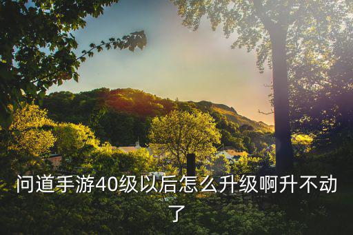 问道手游40级以后怎么升级啊升不动了