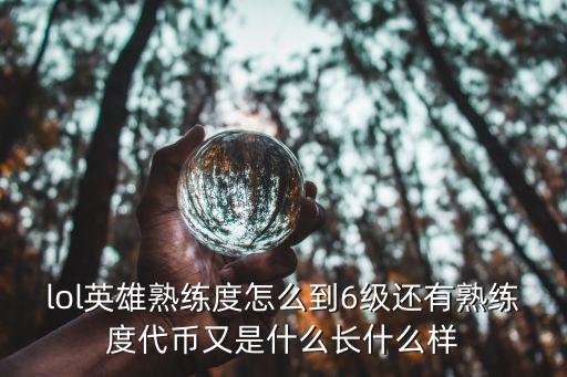 lol英雄熟练度怎么到6级还有熟练度代币又是什么长什么样