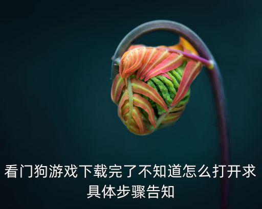 看门狗二手游该怎么登陆，看门狗uplay怎样连接