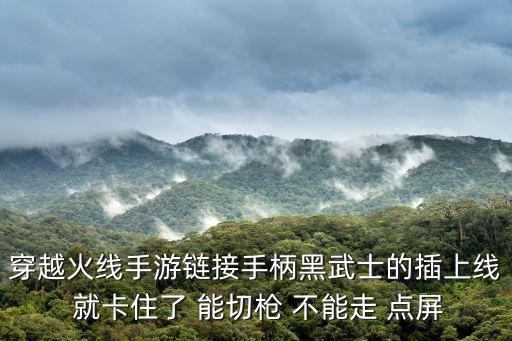 穿越火线手游链接手柄黑武士的插上线 就卡住了 能切枪 不能走 点屏