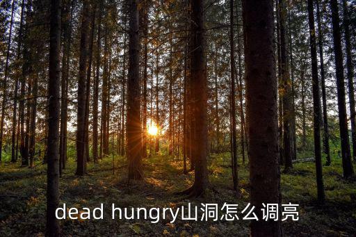 dead hungry山洞怎么调亮