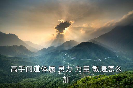 问道手游敏捷怎么改力量，高手问道体质 灵力 力量 敏捷怎么加