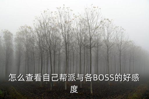 怎么查看自己帮派与各BOSS的好感度