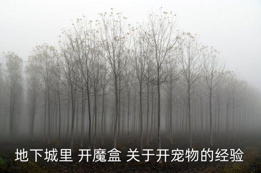 手游地下城魔盒系统怎么样，地下城魔盒能开出什么东西