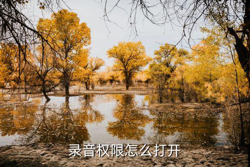 录音权限怎么打开