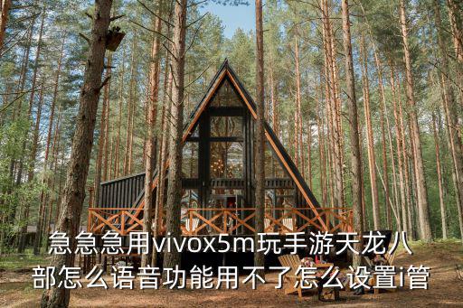 急急急用vivox5m玩手游天龙八部怎么语音功能用不了怎么设置i管