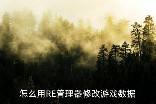 怎么用RE管理器修改游戏数据