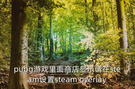 pubg游戏里面商店显示请在steam设置steam overlay