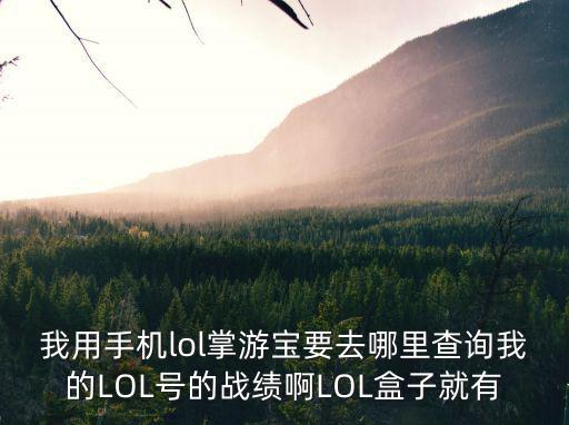 我用手机lol掌游宝要去哪里查询我的LOL号的战绩啊LOL盒子就有