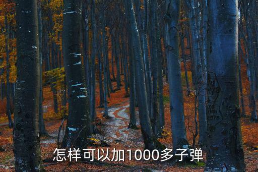 怎样可以加1000多子弹