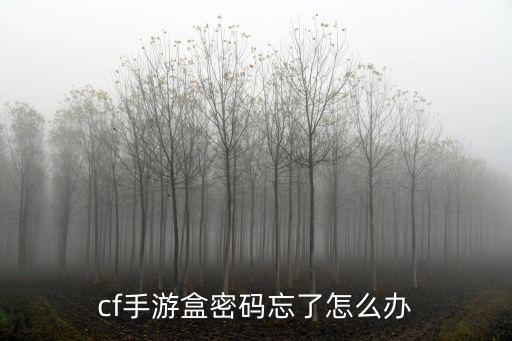 cf手游盒密码忘了怎么办