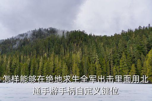 怎样能够在绝地求生全军出击里面用北通手游手柄自定义键位