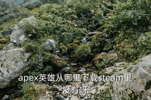 apex英雄从哪里下载steam里没有呀