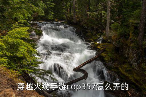 穿越火线手游cop357怎么弄的