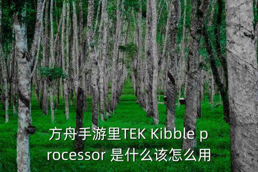 方舟手游里TEK Kibble processor 是什么该怎么用