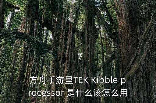 方舟手游里TEK Kibble processor 是什么该怎么用