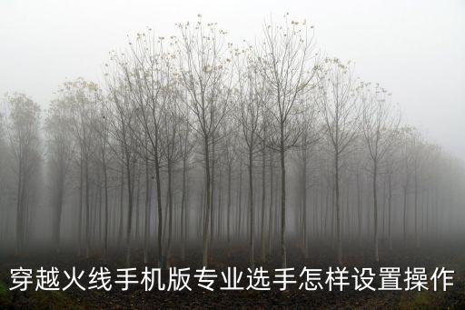 穿越火线手机版专业选手怎样设置操作