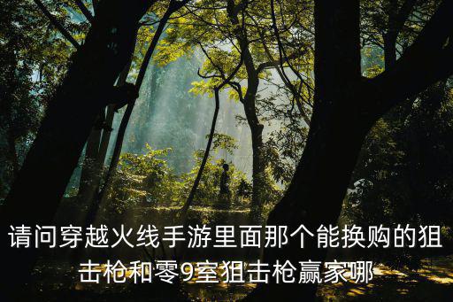 请问穿越火线手游里面那个能换购的狙击枪和零9室狙击枪赢家哪