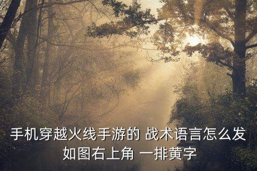 手机穿越火线手游的 战术语言怎么发 如图右上角 一排黄字