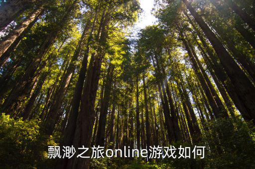 飘渺之旅online游戏如何