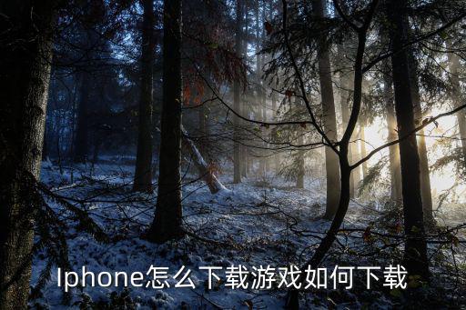 Iphone怎么下载游戏如何下载