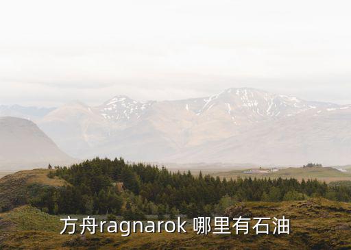 方舟ragnarok 哪里有石油