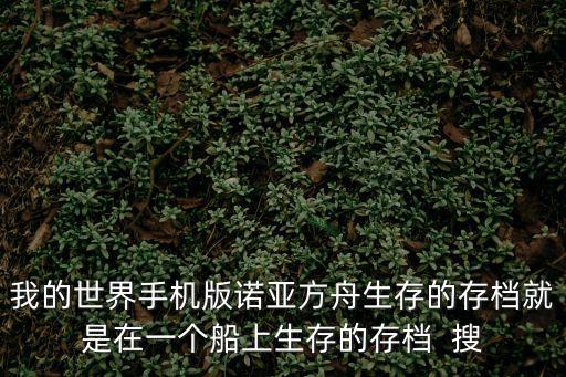 方舟手游版怎么弄存档，伊苏6纳比斯汀的方舟如何存档