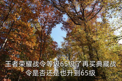 王者荣耀战令等级65级了再买典藏战令是否还是也升到65级