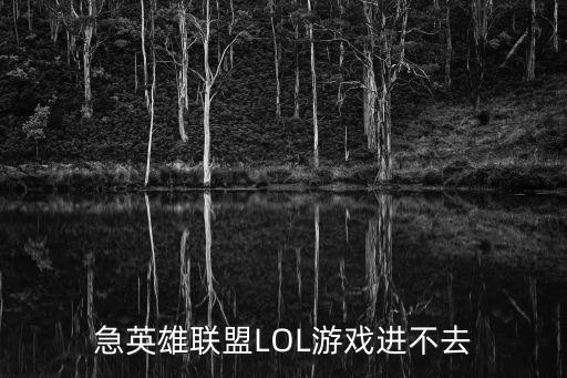 急英雄联盟LOL游戏进不去