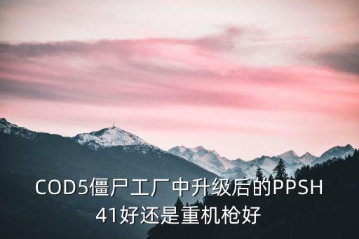 COD5僵尸工厂中升级后的PPSH41好还是重机枪好