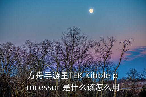 方舟手游里TEK Kibble processor 是什么该怎么用