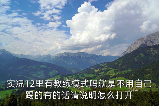 实况12里有教练模式吗就是不用自己踢的有的话请说明怎么打开