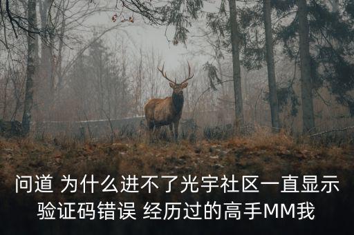 问道 为什么进不了光宇社区一直显示验证码错误 经历过的高手MM我