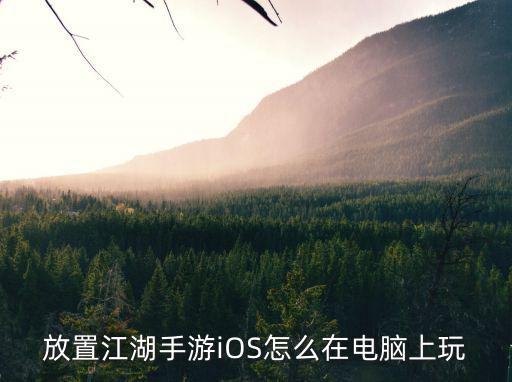 放置江湖手游iOS怎么在电脑上玩