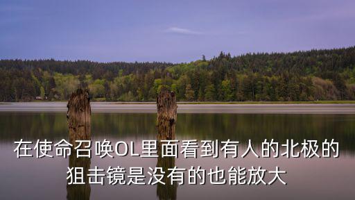 在使命召唤OL里面看到有人的北极的狙击镜是没有的也能放大