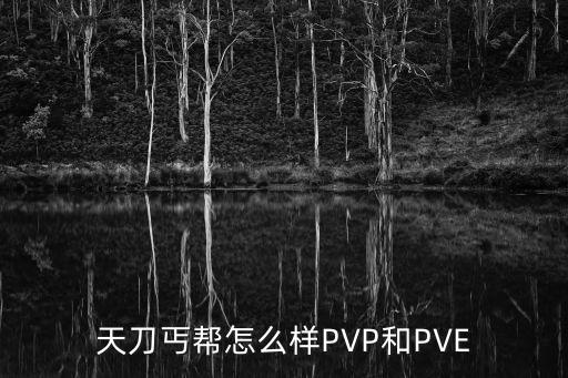 天刀丐帮怎么样PVP和PVE